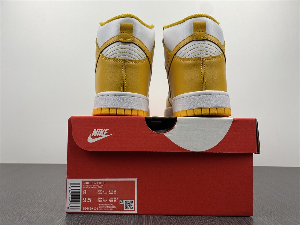 NIKE SB DUNK HIGH 
