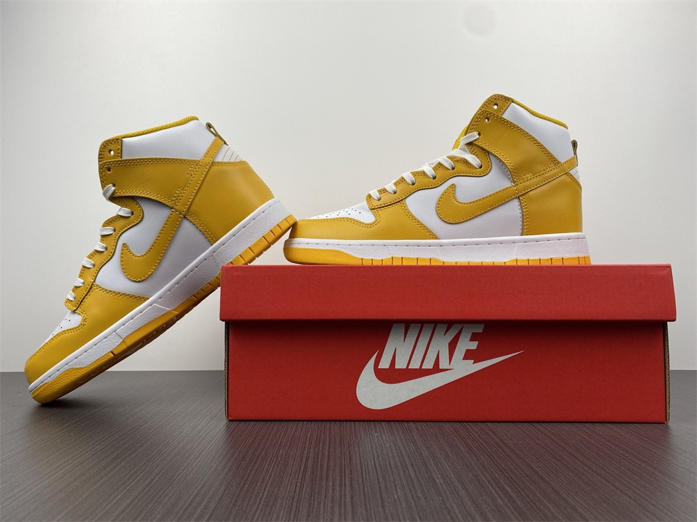 NIKE SB DUNK HIGH 