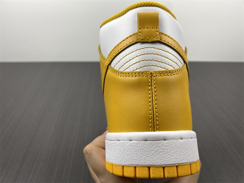 NIKE SB DUNK HIGH 