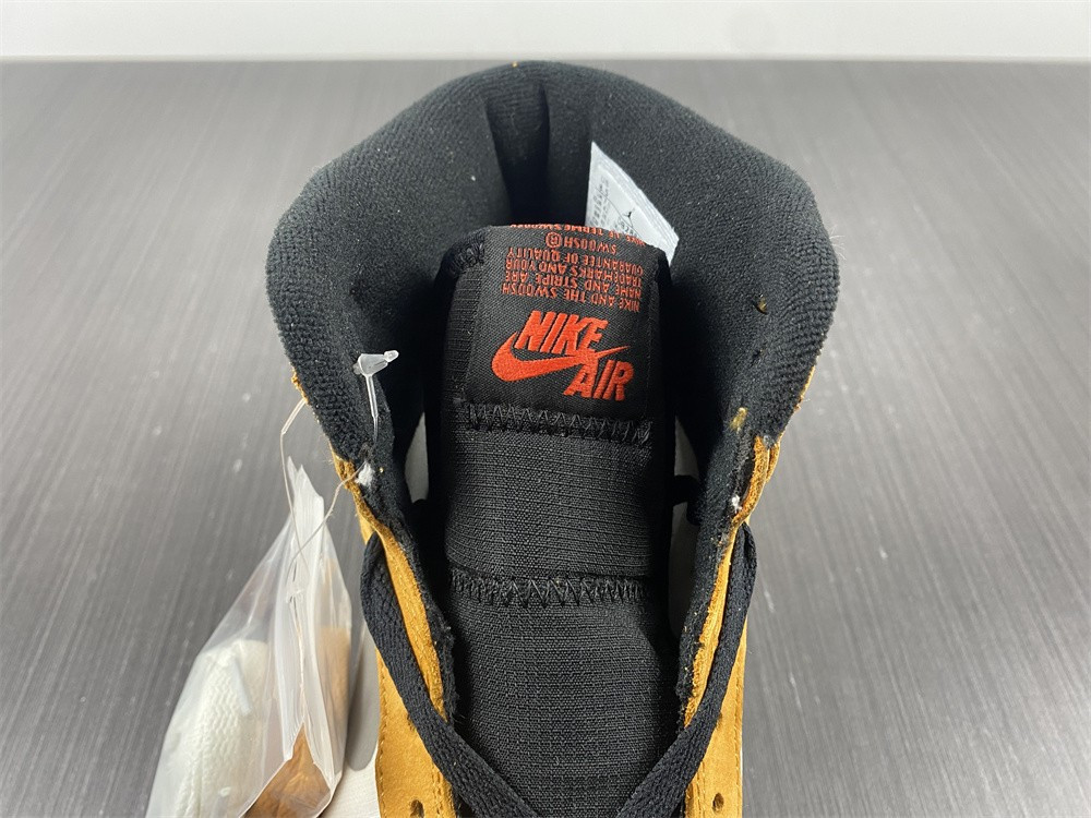 AIR JORDAN 1 HIGH ELEMENT GORE-TEX 