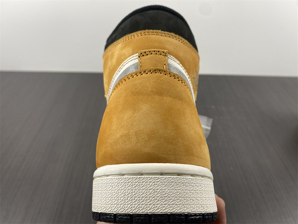 AIR JORDAN 1 HIGH ELEMENT GORE-TEX 