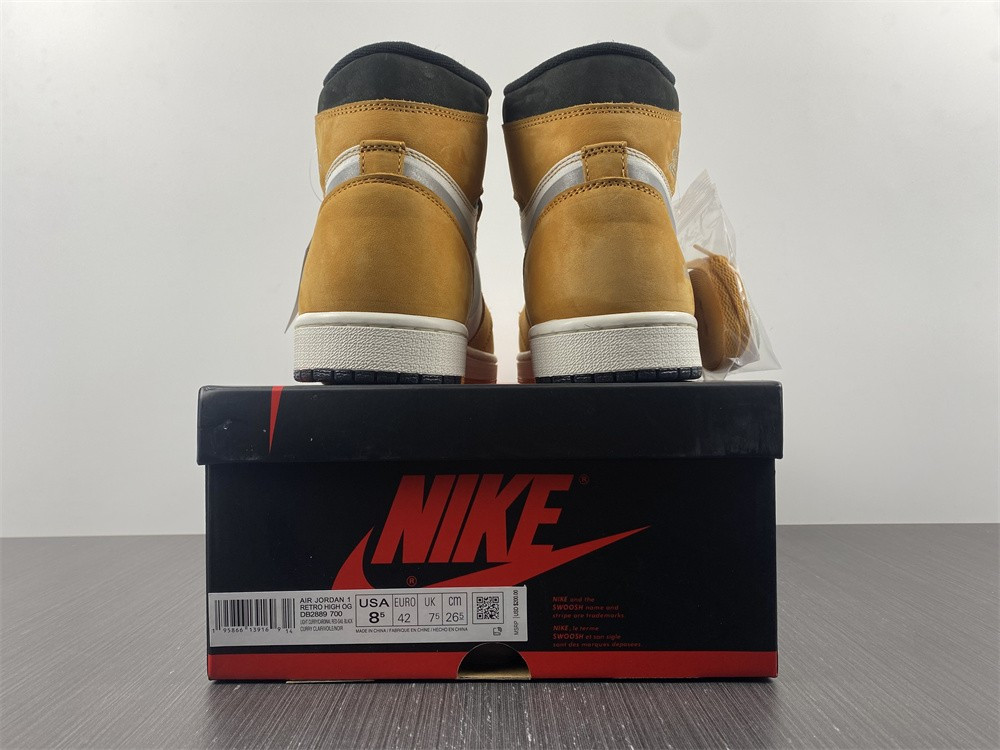 AIR JORDAN 1 HIGH ELEMENT GORE-TEX 