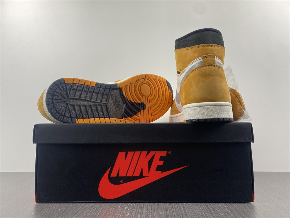 AIR JORDAN 1 HIGH ELEMENT GORE-TEX 