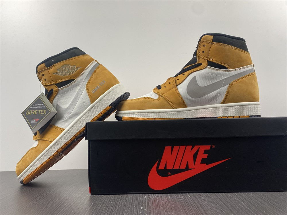AIR JORDAN 1 HIGH ELEMENT GORE-TEX 