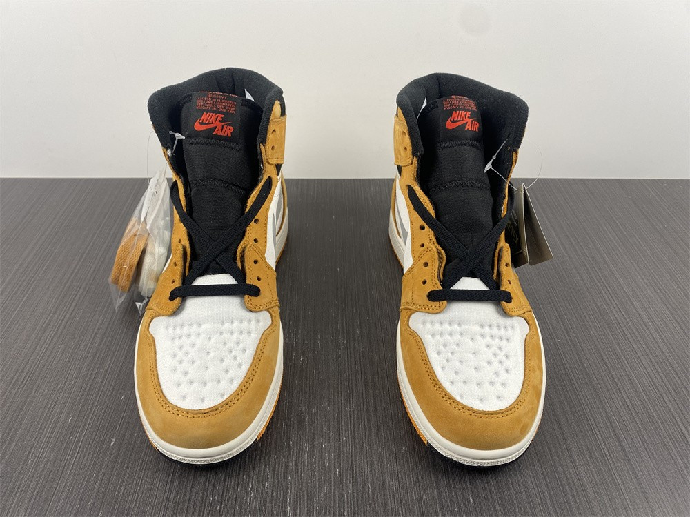AIR JORDAN 1 HIGH ELEMENT GORE-TEX 