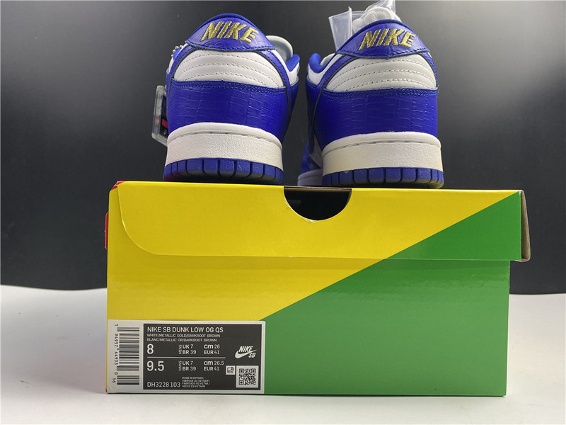 Nike SB Dunk Low DH3228-100