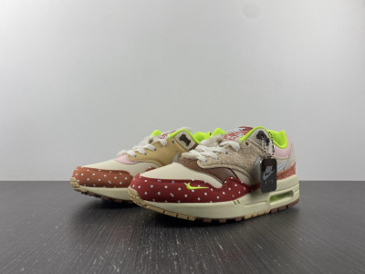 Nike Air Max 1 PRM Woman''s Best Friend (W) DR2553-111